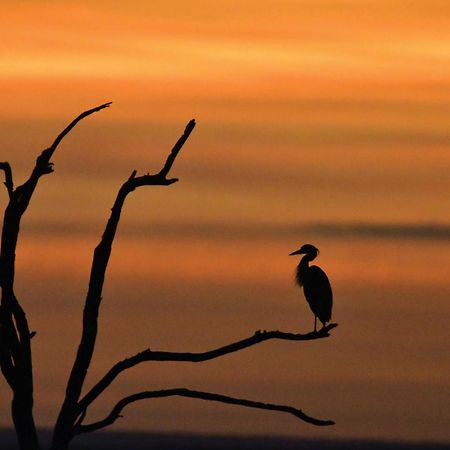 Madikwe River Lodge By Dream Resorts Madikwe Wildreservaat Buitenkant foto