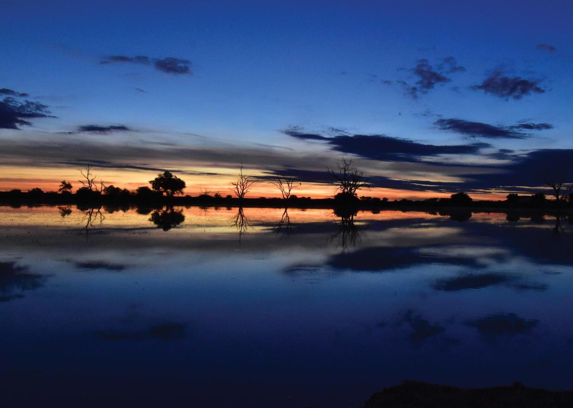 Madikwe River Lodge By Dream Resorts Madikwe Wildreservaat Buitenkant foto