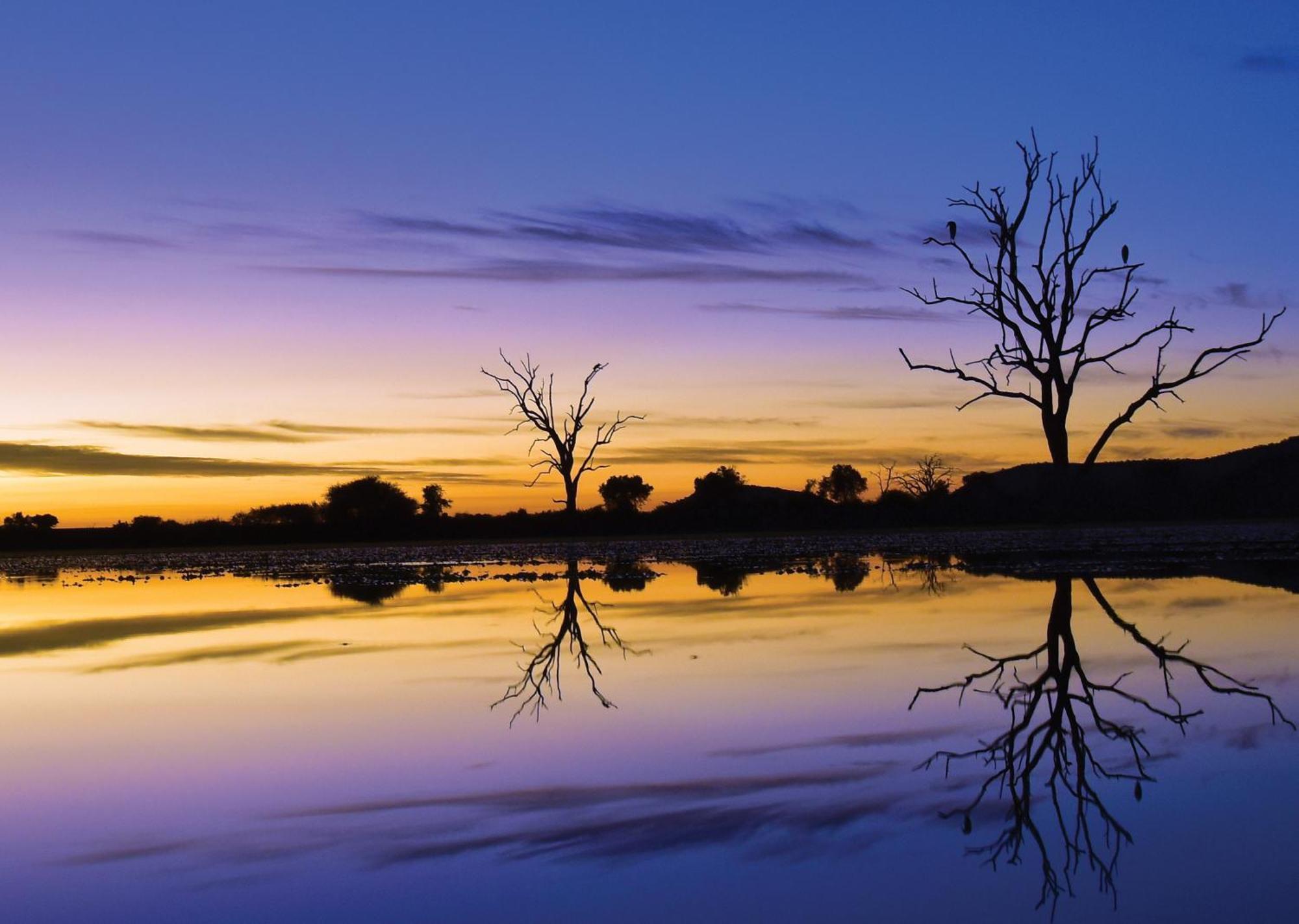 Madikwe River Lodge By Dream Resorts Madikwe Wildreservaat Buitenkant foto