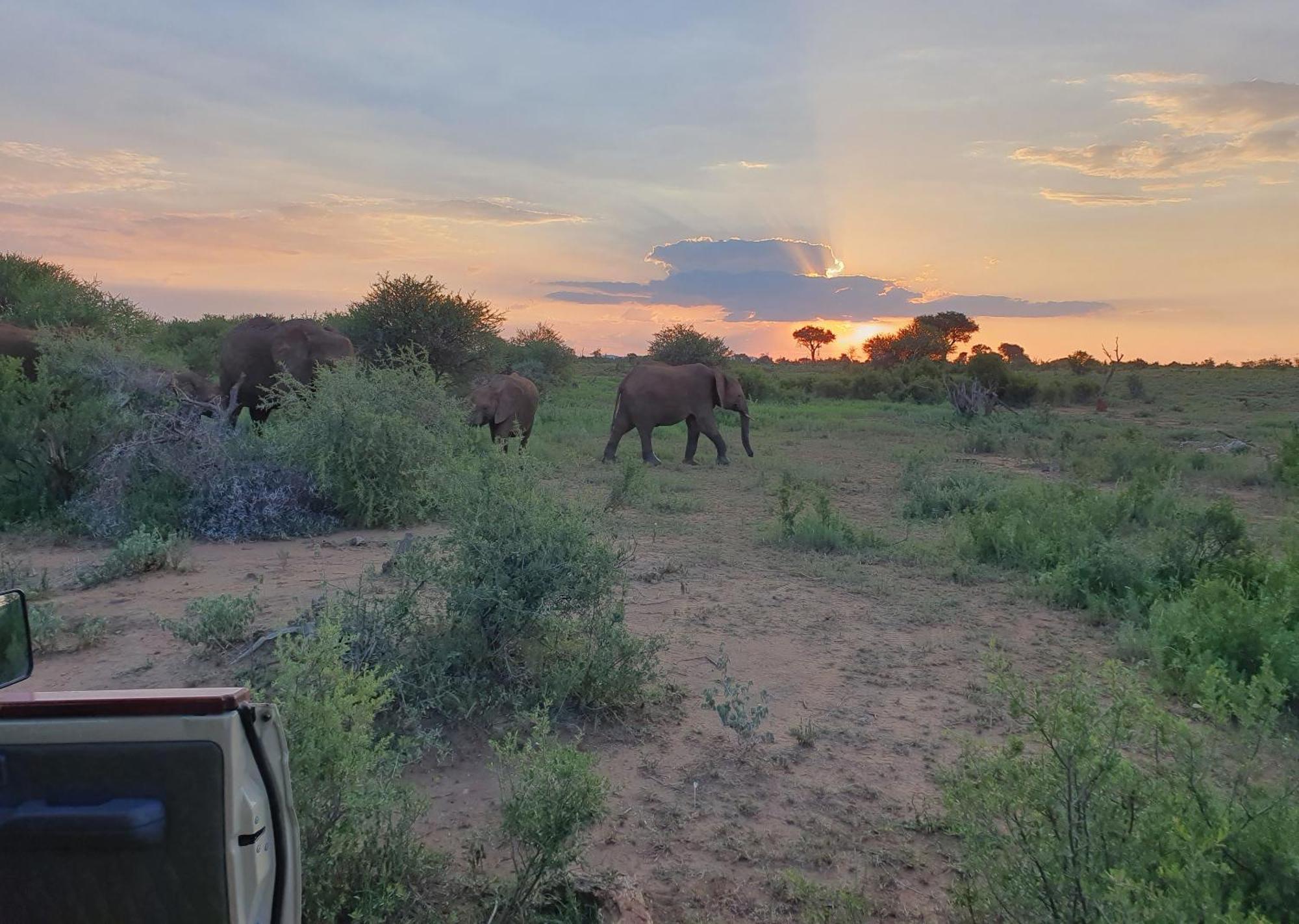 Madikwe River Lodge By Dream Resorts Madikwe Wildreservaat Buitenkant foto