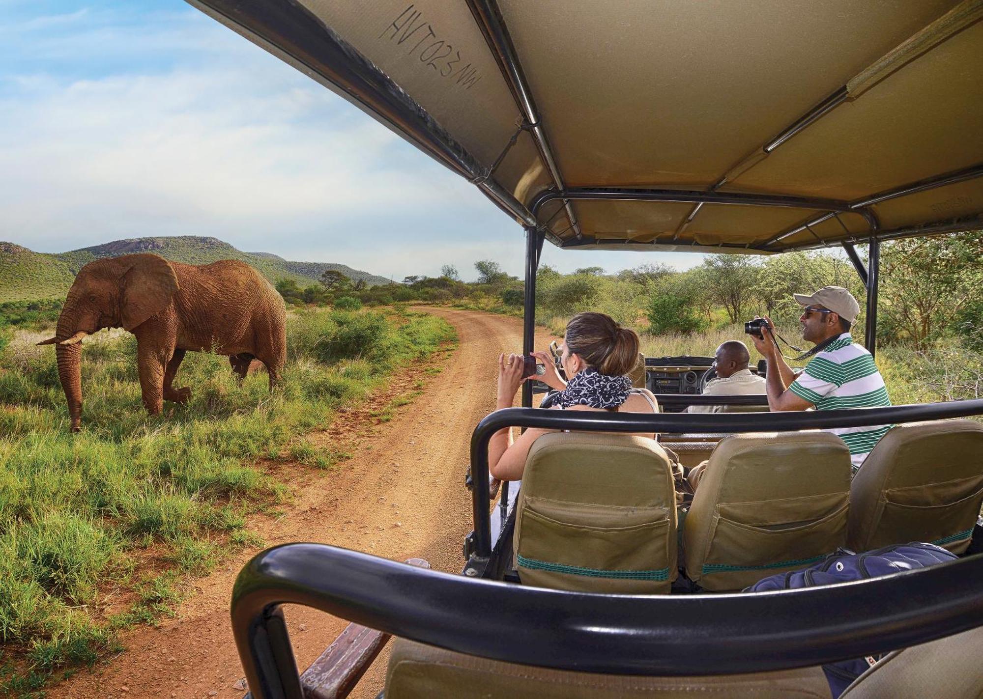 Madikwe River Lodge By Dream Resorts Madikwe Wildreservaat Buitenkant foto