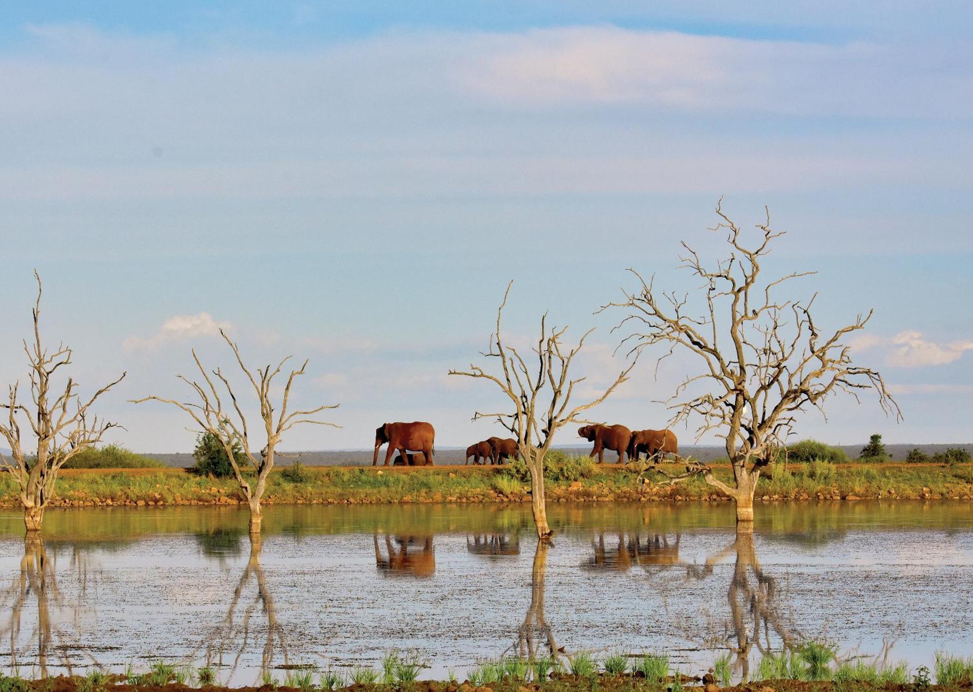 Madikwe River Lodge By Dream Resorts Madikwe Wildreservaat Buitenkant foto