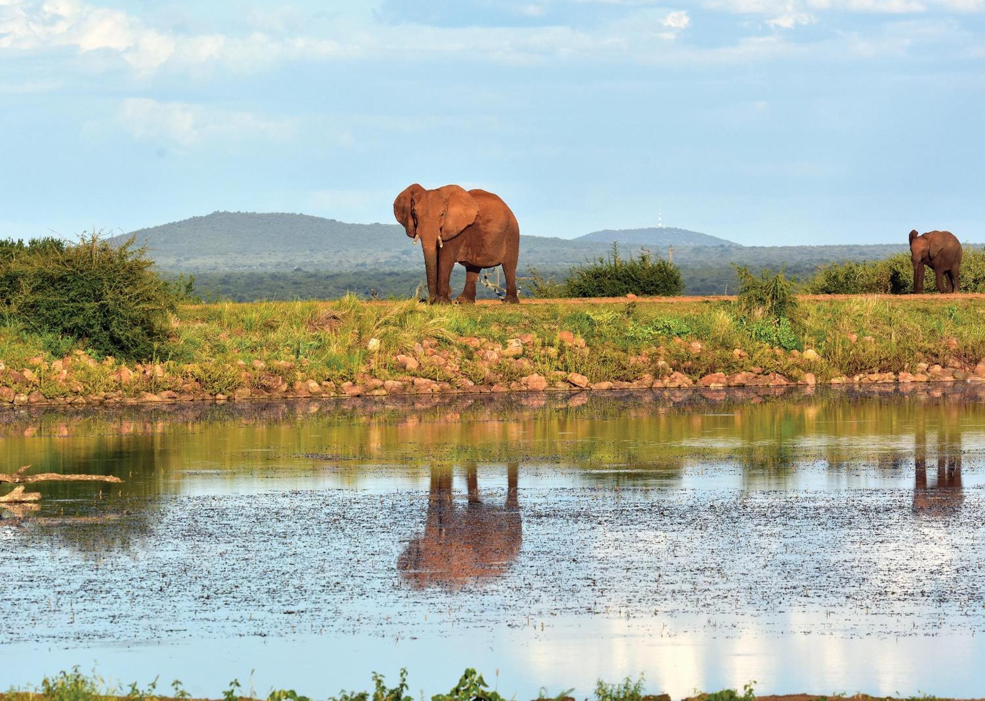 Madikwe River Lodge By Dream Resorts Madikwe Wildreservaat Buitenkant foto