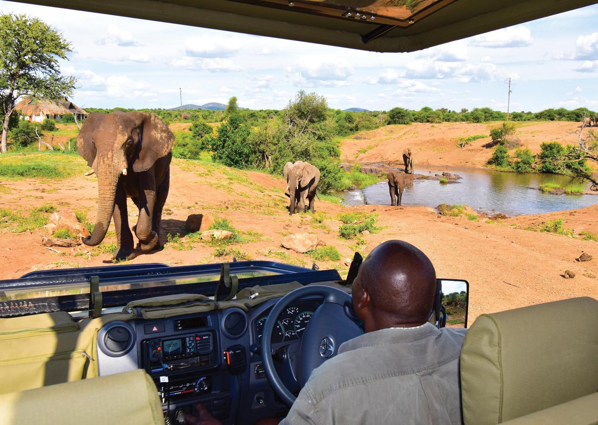Madikwe River Lodge By Dream Resorts Madikwe Wildreservaat Buitenkant foto