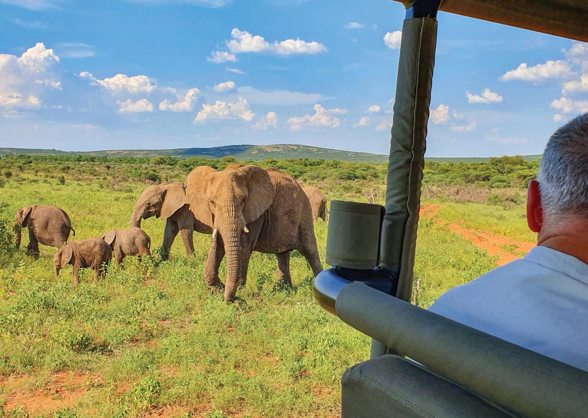 Madikwe River Lodge By Dream Resorts Madikwe Wildreservaat Buitenkant foto