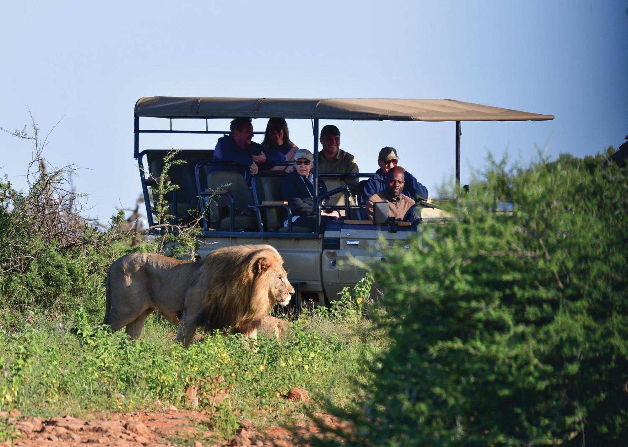 Madikwe River Lodge By Dream Resorts Madikwe Wildreservaat Buitenkant foto
