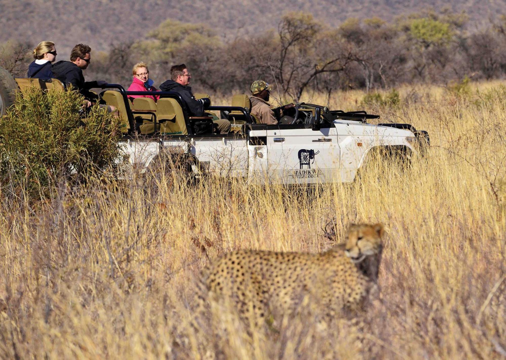 Madikwe River Lodge By Dream Resorts Madikwe Wildreservaat Buitenkant foto