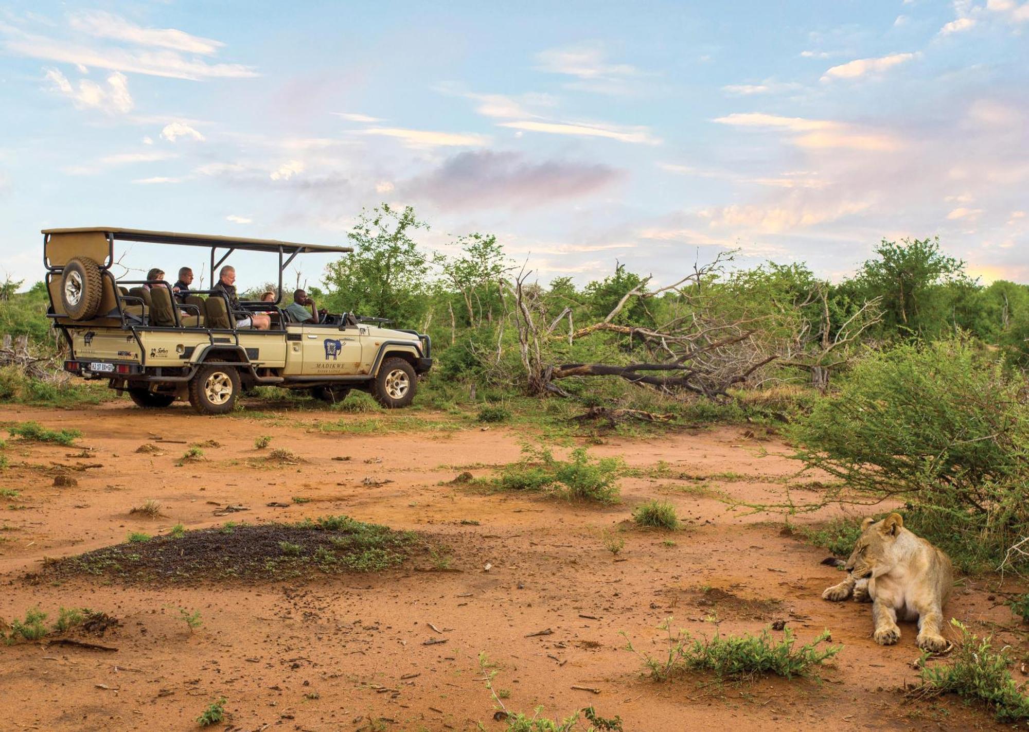 Madikwe River Lodge By Dream Resorts Madikwe Wildreservaat Buitenkant foto