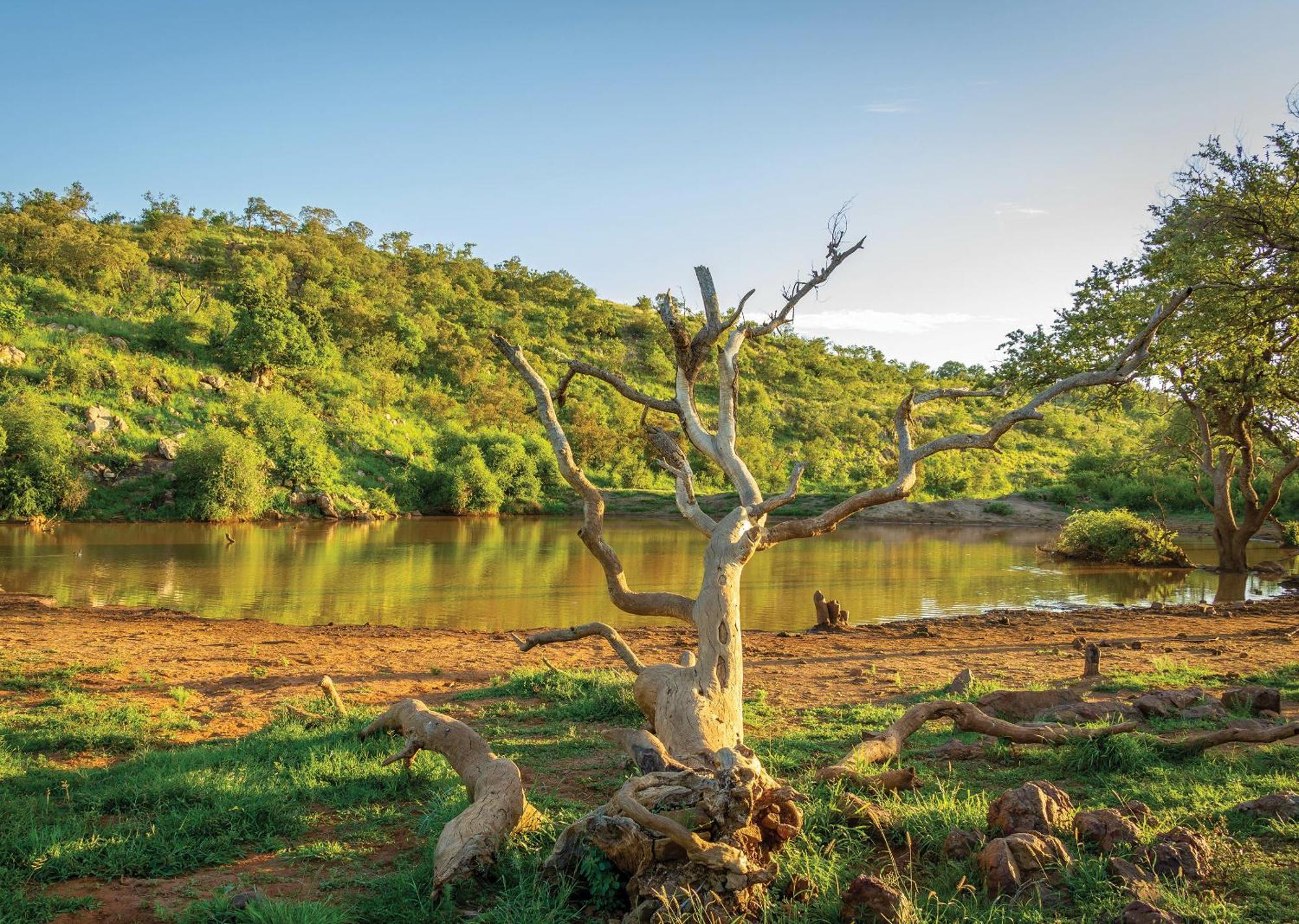 Madikwe River Lodge By Dream Resorts Madikwe Wildreservaat Buitenkant foto
