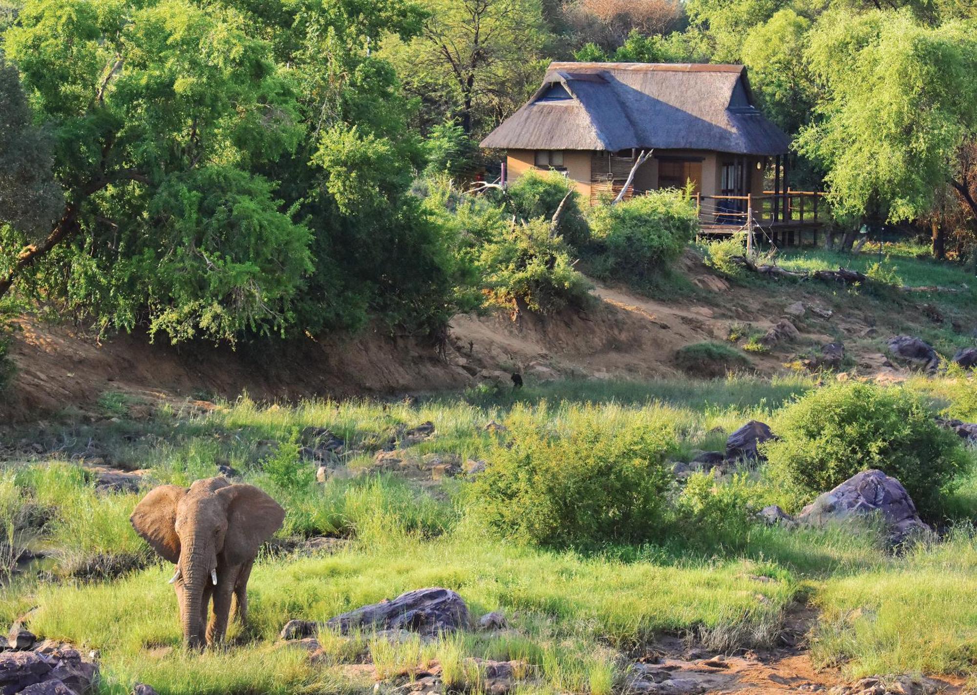 Madikwe River Lodge By Dream Resorts Madikwe Wildreservaat Kamer foto