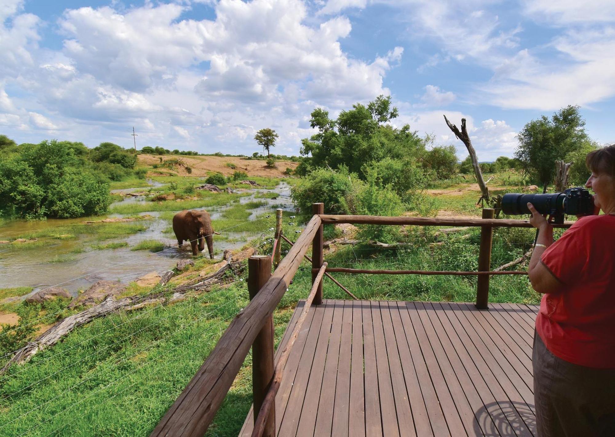 Madikwe River Lodge By Dream Resorts Madikwe Wildreservaat Kamer foto
