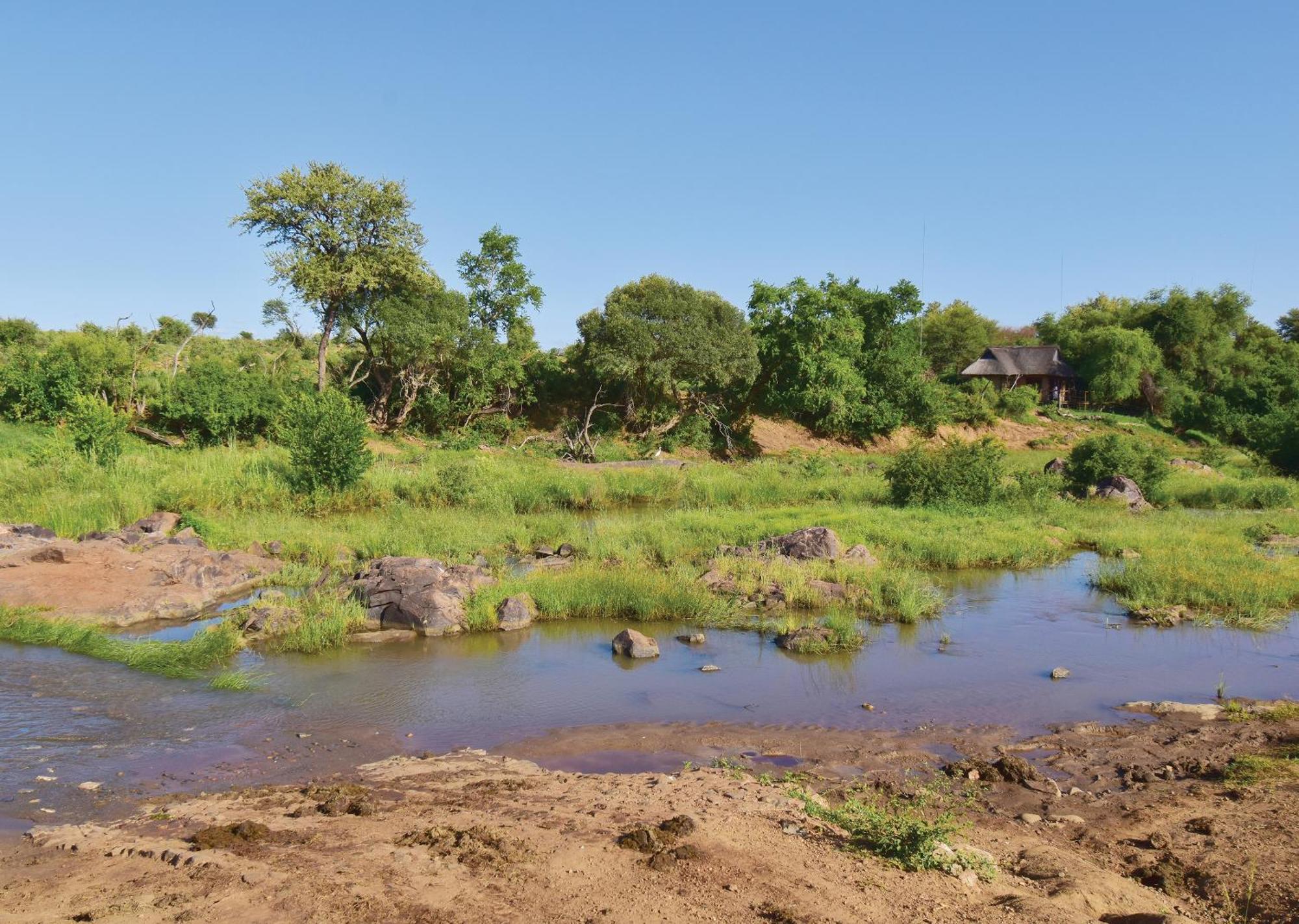 Madikwe River Lodge By Dream Resorts Madikwe Wildreservaat Kamer foto