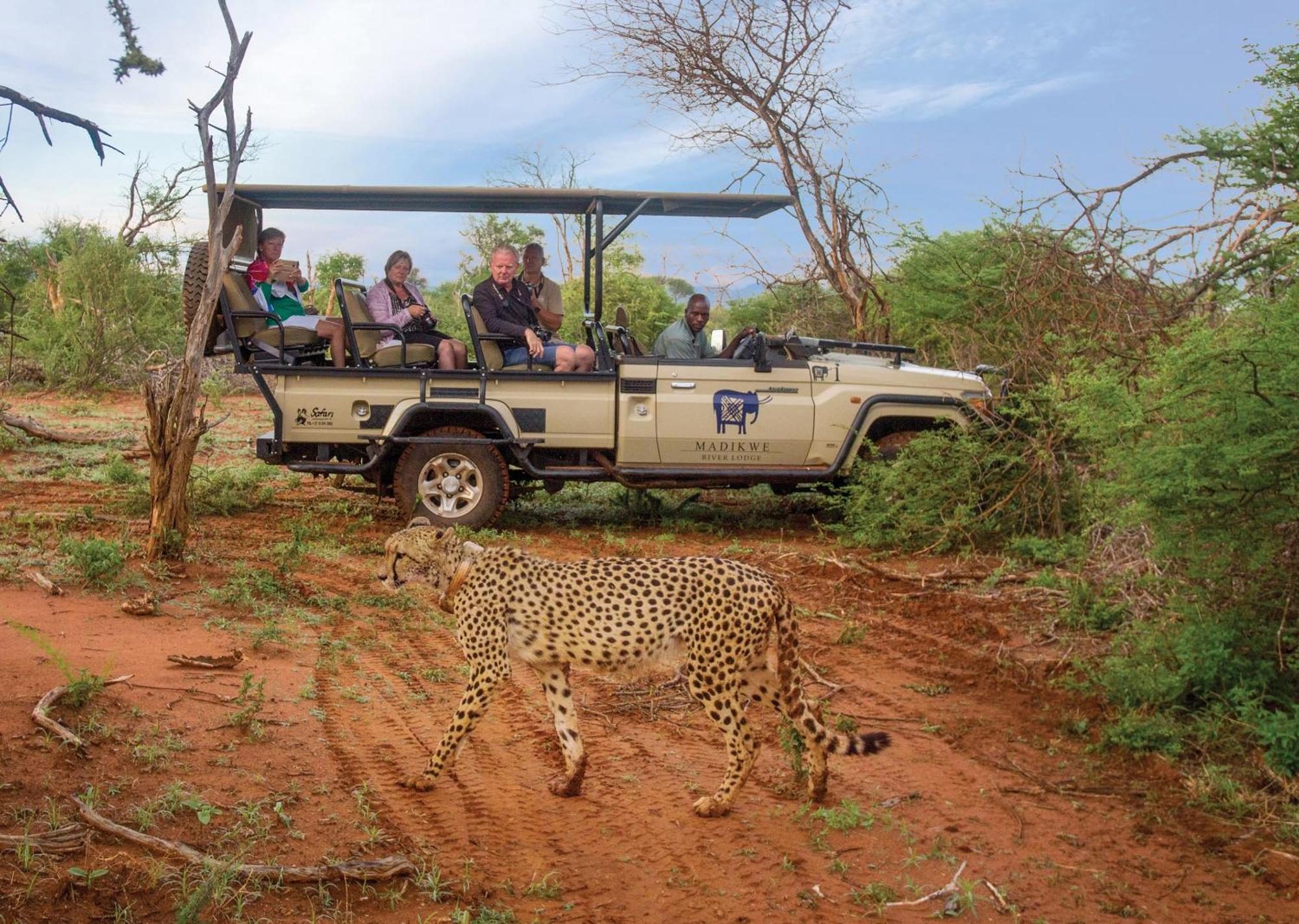 Madikwe River Lodge By Dream Resorts Madikwe Wildreservaat Buitenkant foto